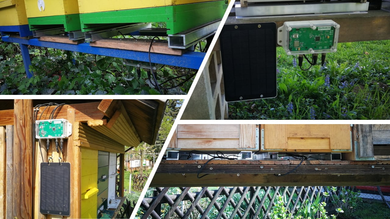 Montagevoorbeelden bijenkastweegschaal