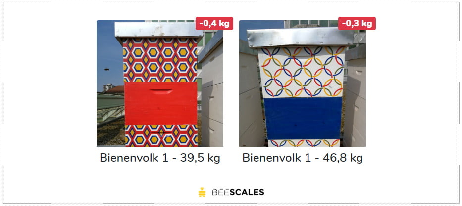 Bijenkastweegschaal web-widgets